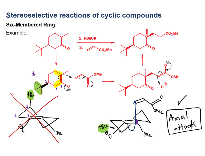 Org Chem (Graduate)