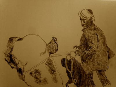 Wise Pencils and Wandering Significance