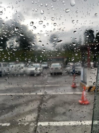 Life Through Her Eyes 2