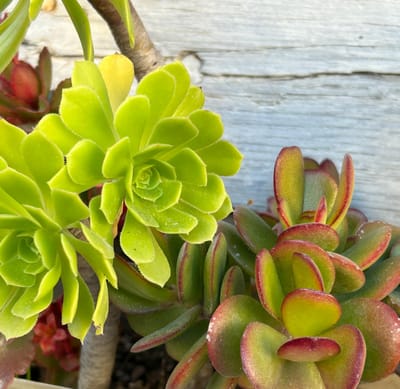 Life Through Her Eyes 11