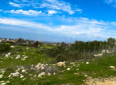 Life Through Her Eyes: 13