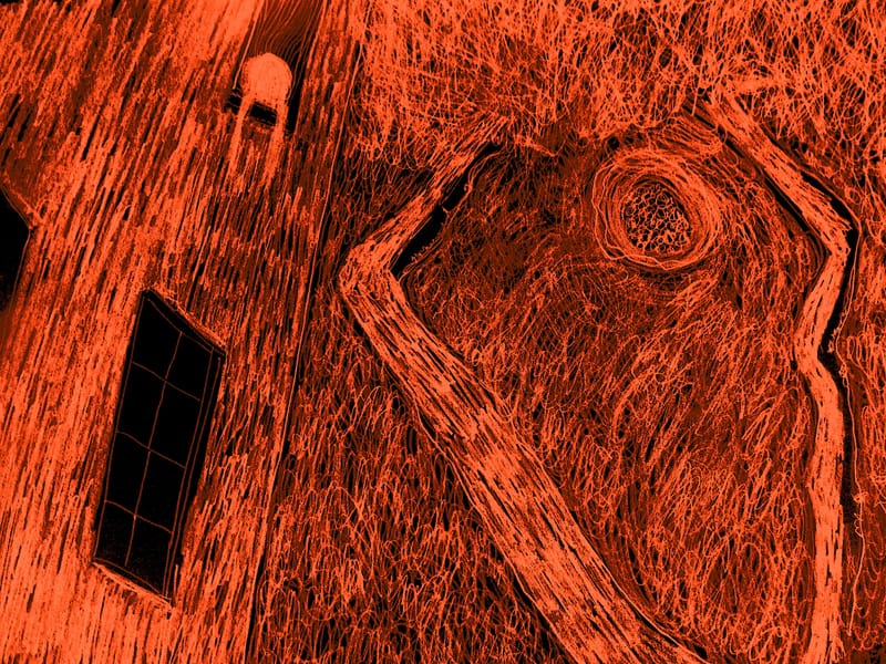 Coronavirus pics 28: