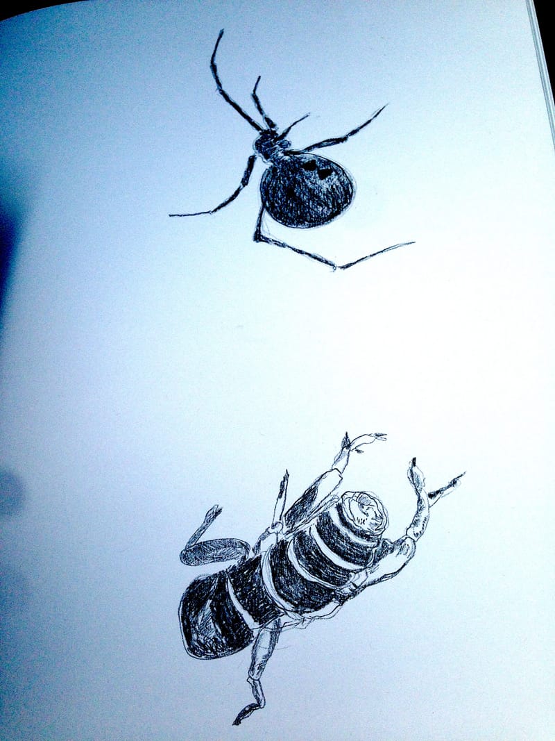 Coronavirus pics 31: