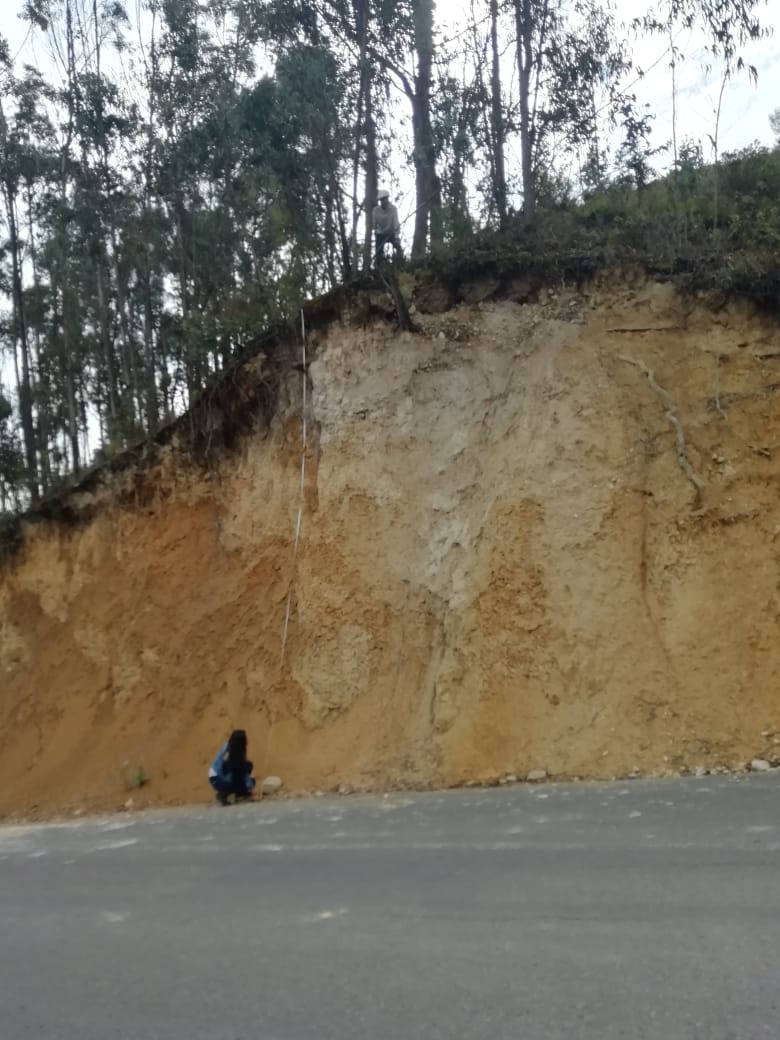 Trabajo de Campo