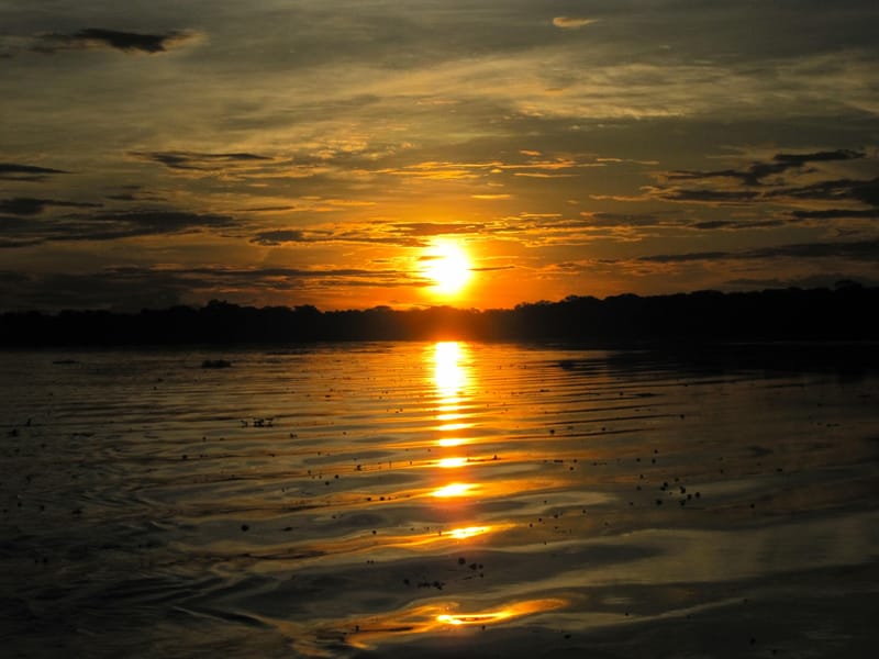 Amazonas Selva Mágica 4 Días/ 3 Noches