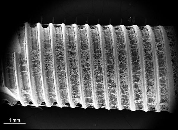 Implant Surface Micro Design