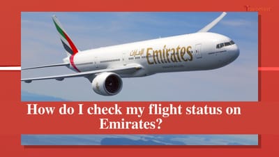 How do I check my Emirates ticket status?