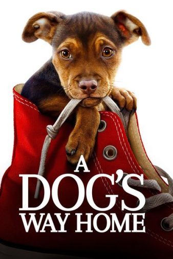 A DOG'S WAY HOME (2019)
