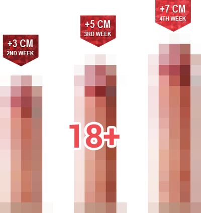 عن تيتان جيل image