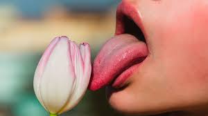 Sexo oral con sentido: Un acercamiento a la sexualidad desde la conexión profunda