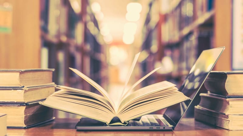 Tesis 2: Bournout y disfunciones sexuales en profesores portugueses