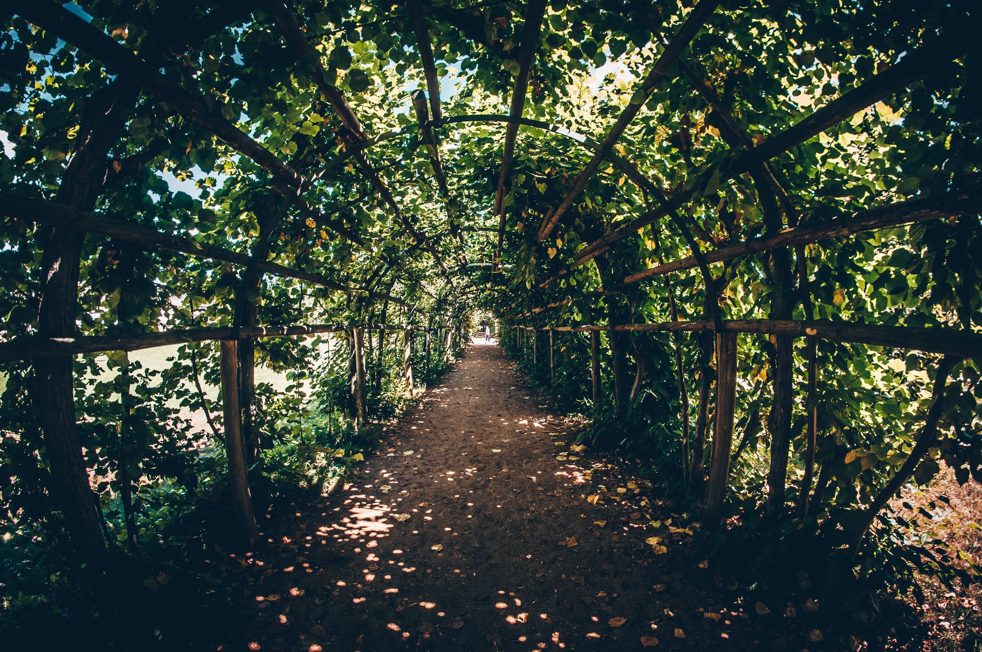 6. Gardens of Paradise(HADITH)