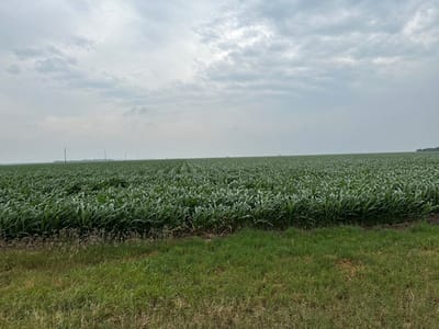 RGV Rocket Club April Launch CANCELLED
