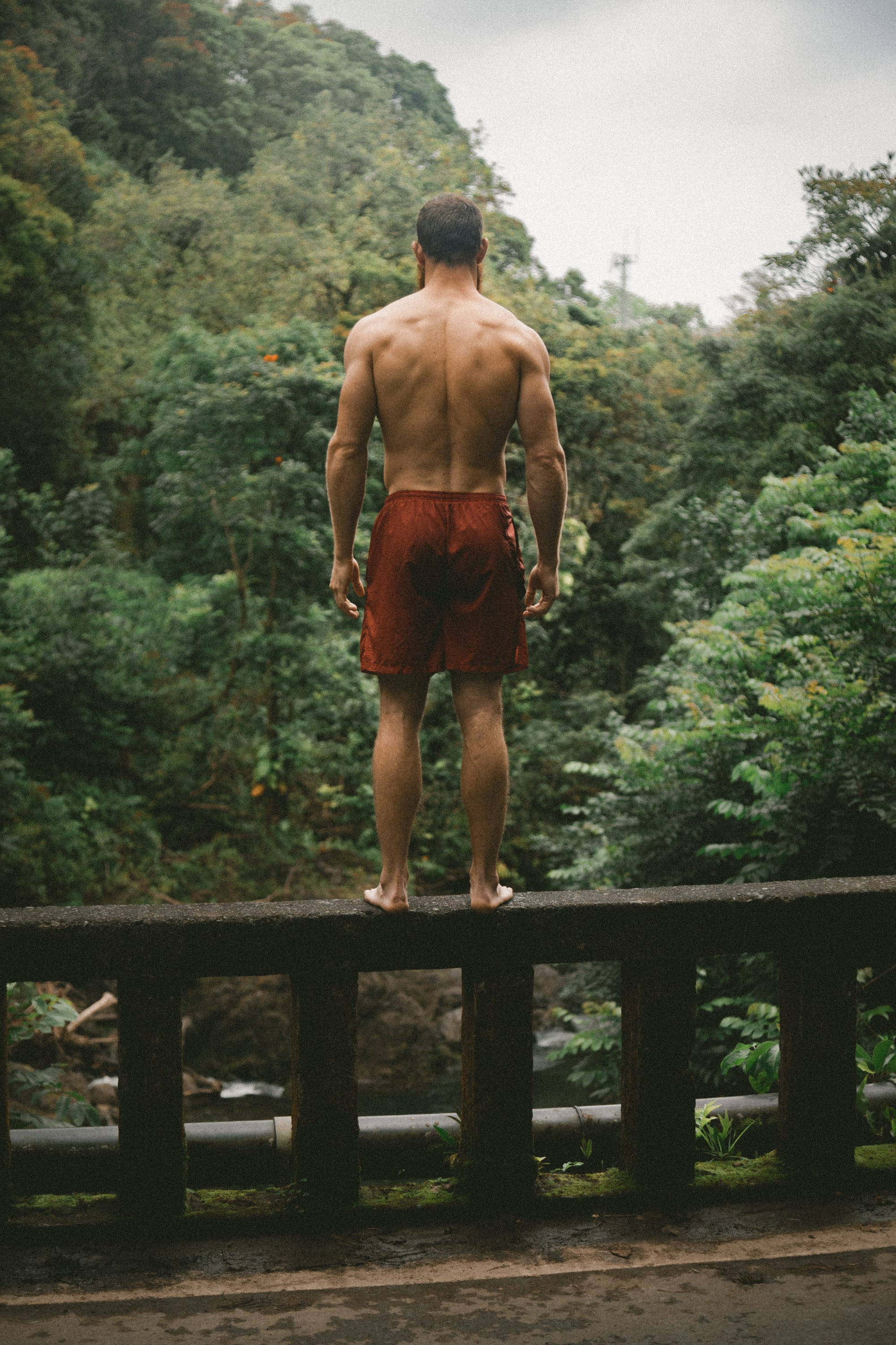 Etebooks Offers Ideas And Tips- What Causes Muscle Growth?