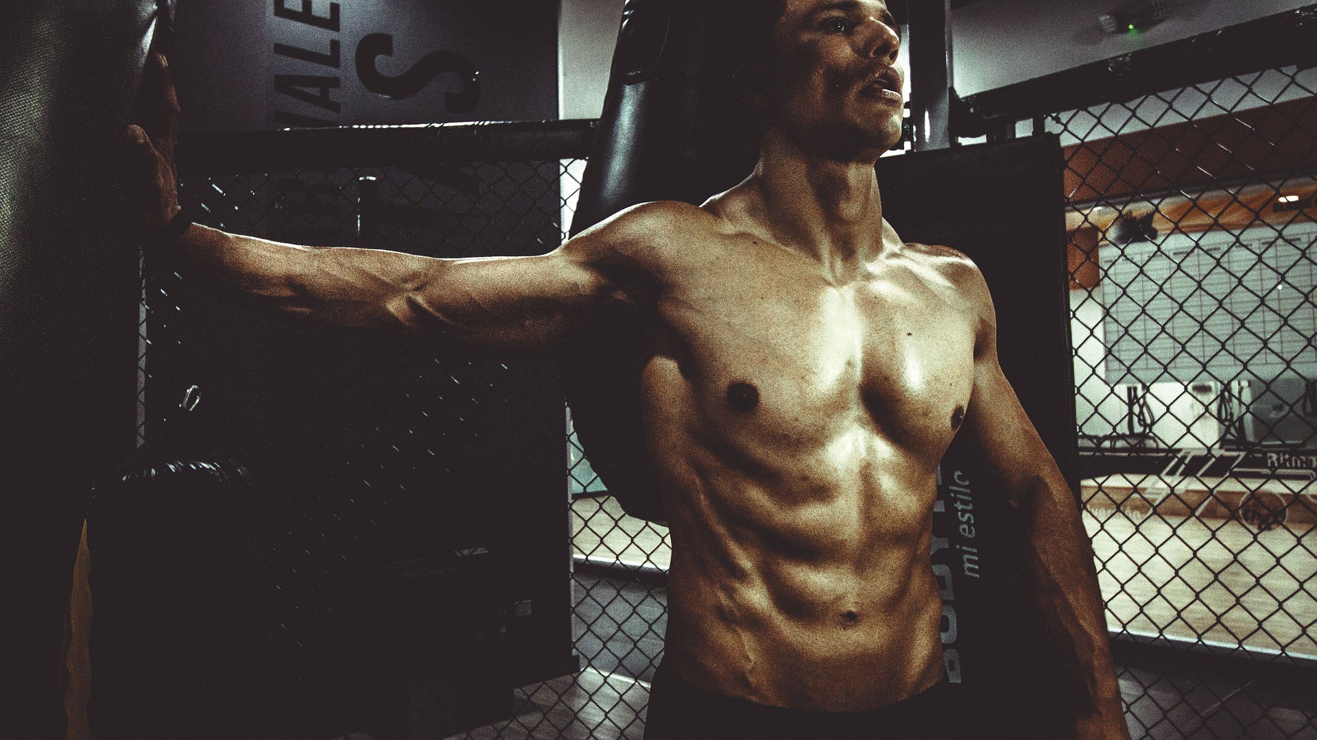 Eteboooks Offers The 3 Core Muscle Building Exercises You Should Be Doing