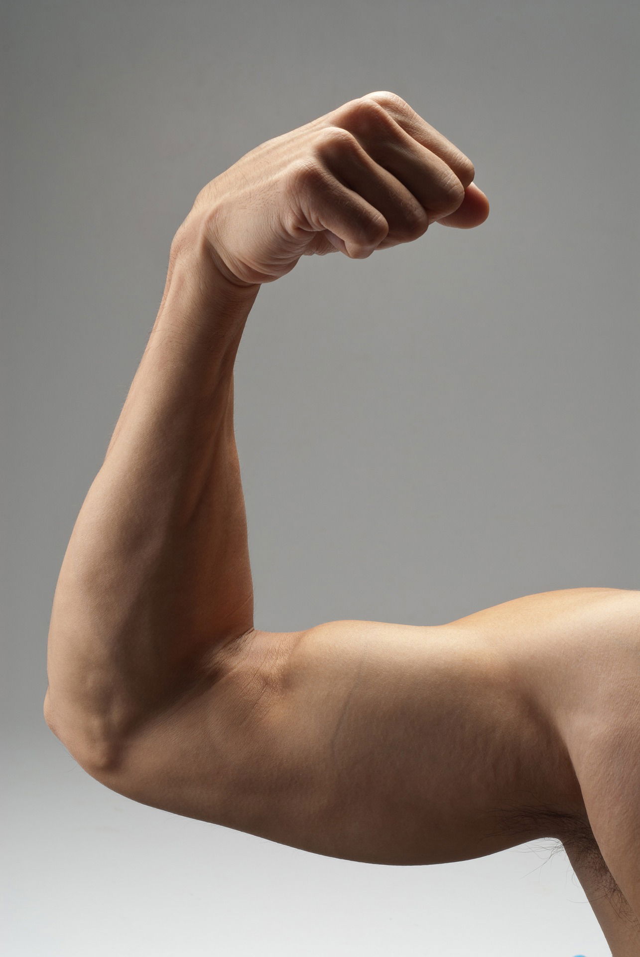 Etebooks Offers Rules to follow to build muscles