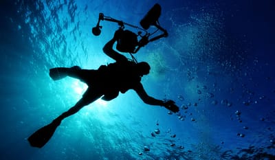 ETE-BOOKS-Underwater Cameras:Discover A Whole New World Underwater Photography image