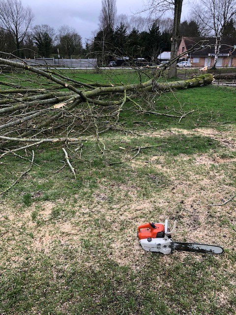 Le Nivelage de terrain et l'évacuation des terres