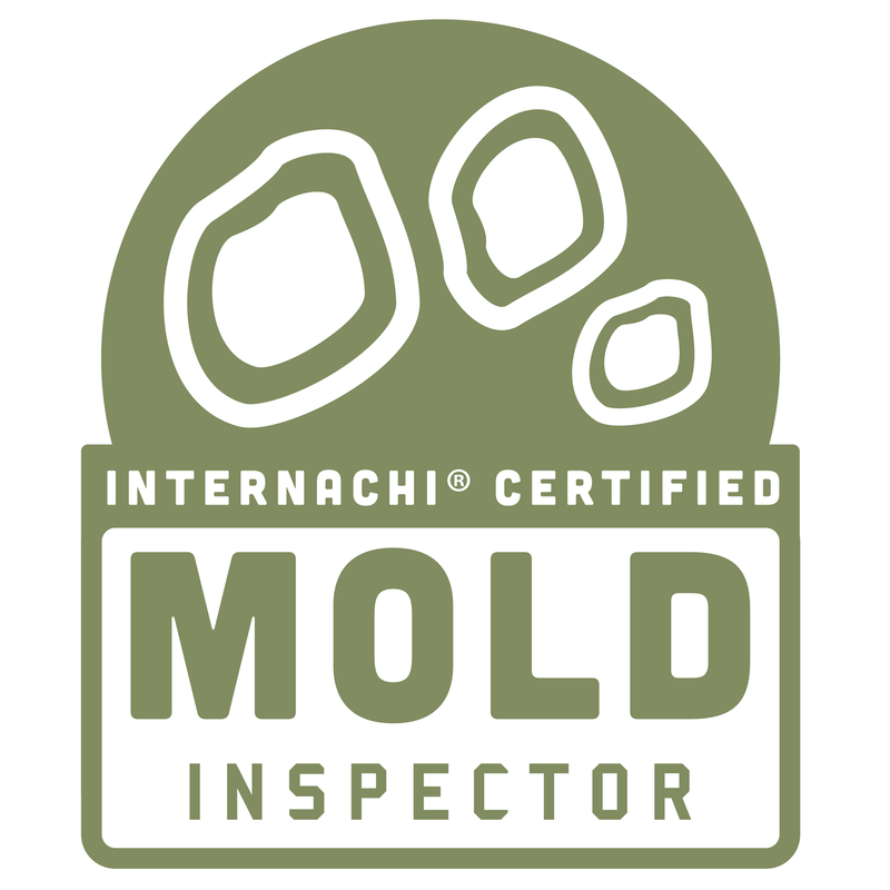 Mold Inspector