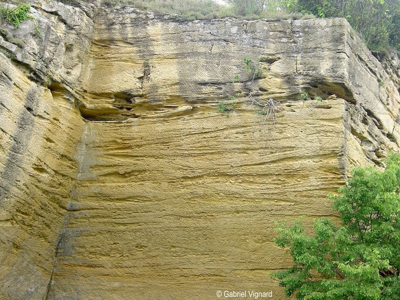JNG2024 : Voyage sur une plage tropicale à St-Jean-de-Védas