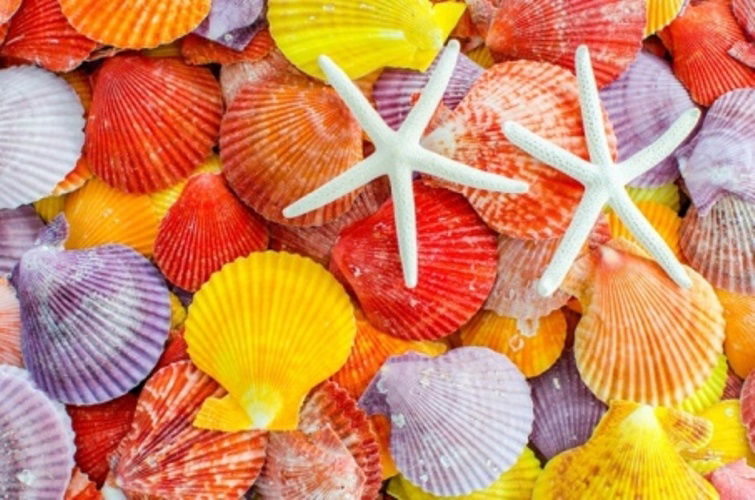 3 BOYUTLU EPOKSİ ÖZELLİKLERİ