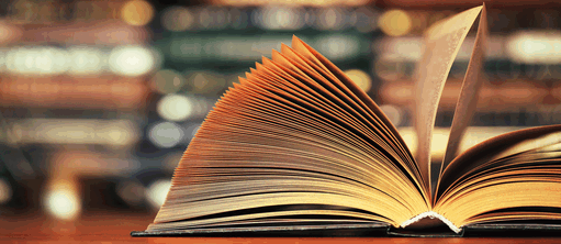 PANEL: ENTRETIEN SUR LA BIBLIOTHÈQUE