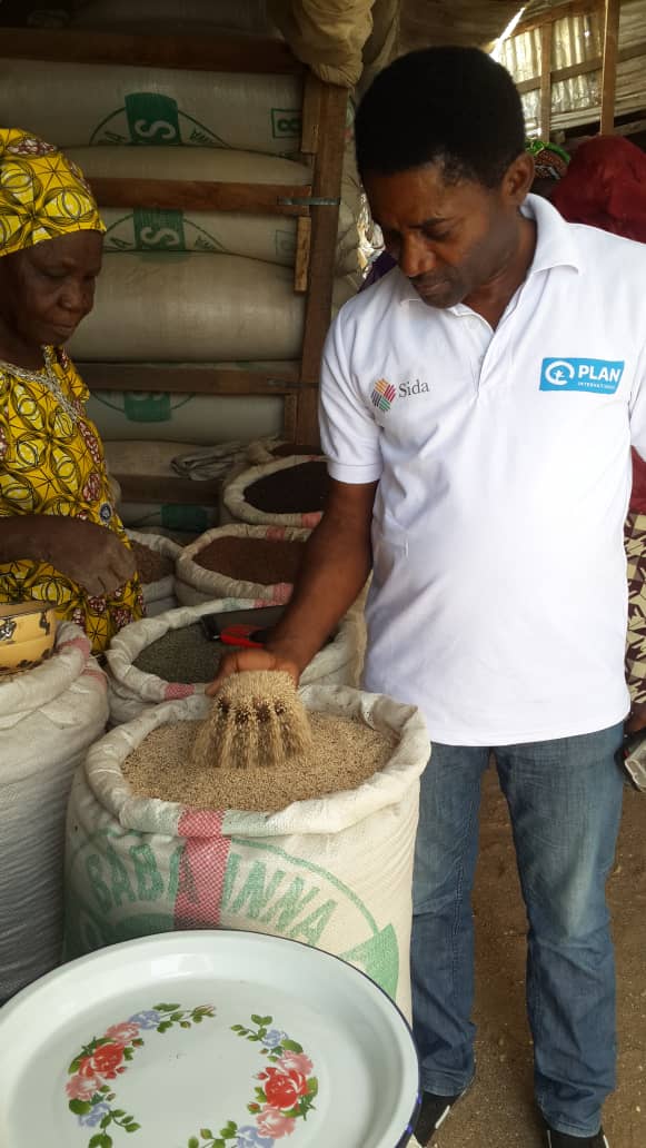 White  and Brown Sesame seeds for sale