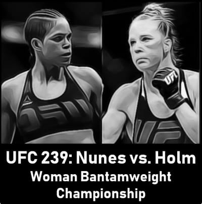 UFC 239: Nunes vs. Holm image