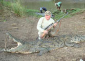 Crocodile