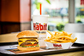 The Habit  image
