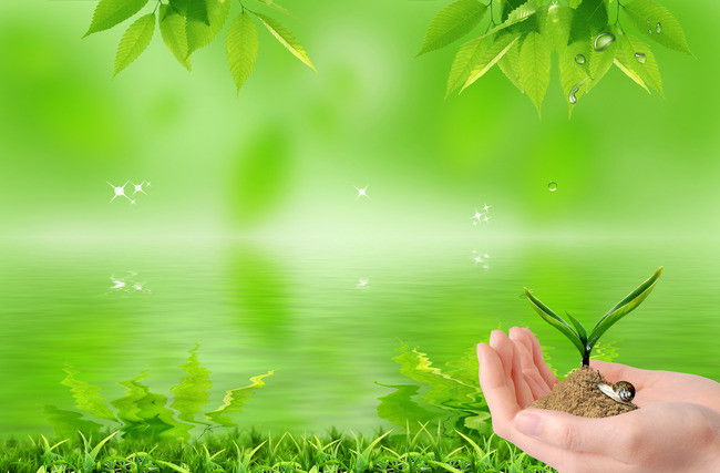 Proyecto Restauracion