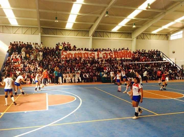 Voleibol