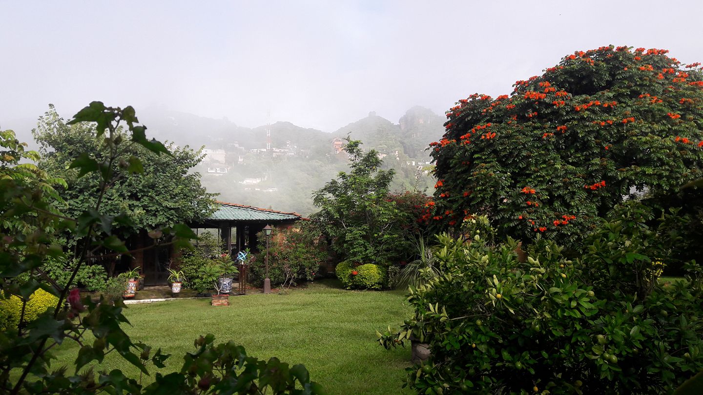 Tiempos de lluvia