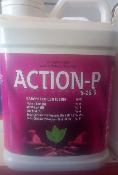 ACTİON - P  image