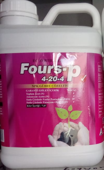 FOURS-P image