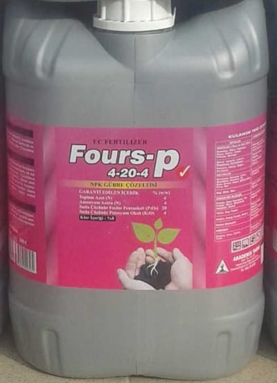 FOURS-P image