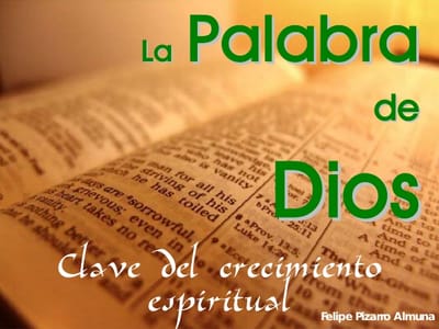 ¿Es la Biblia un libro escrito por hombres sabios?