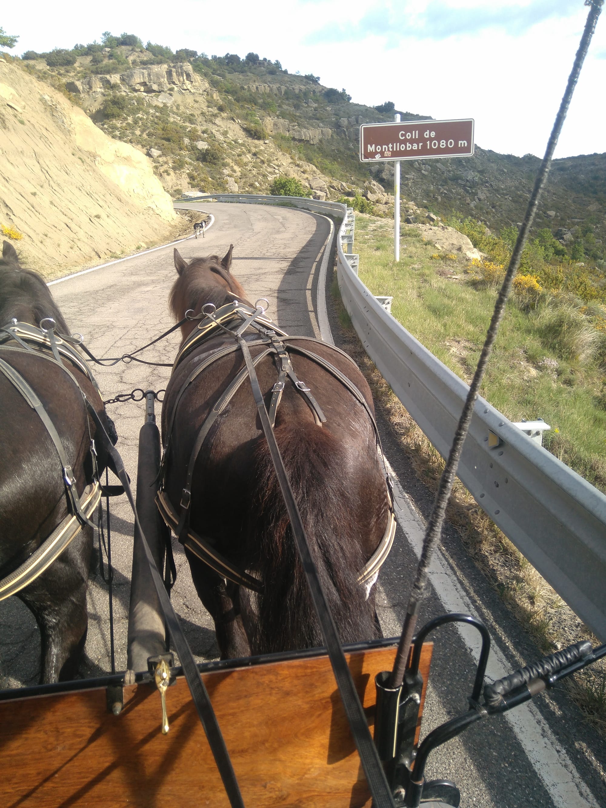 Sabado 11 de mayo - Puente de Montañana