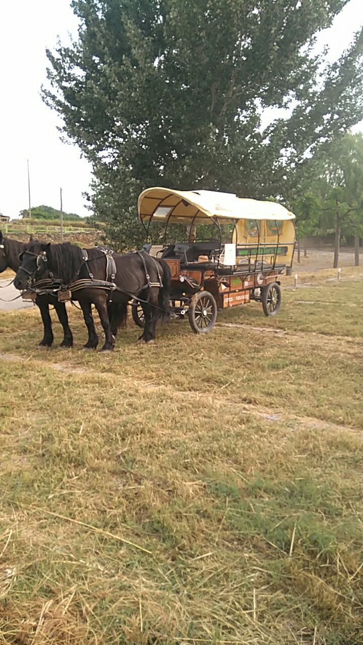 Ecotour de Geoparcs