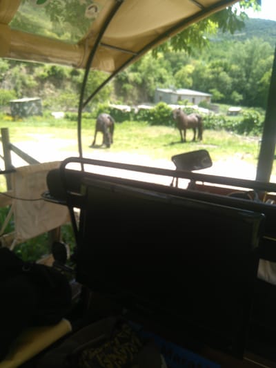 Domingo 26 de mayo - Rialp