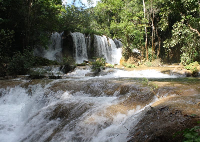 Agua Selva.