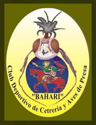 Club de cetreria bahari