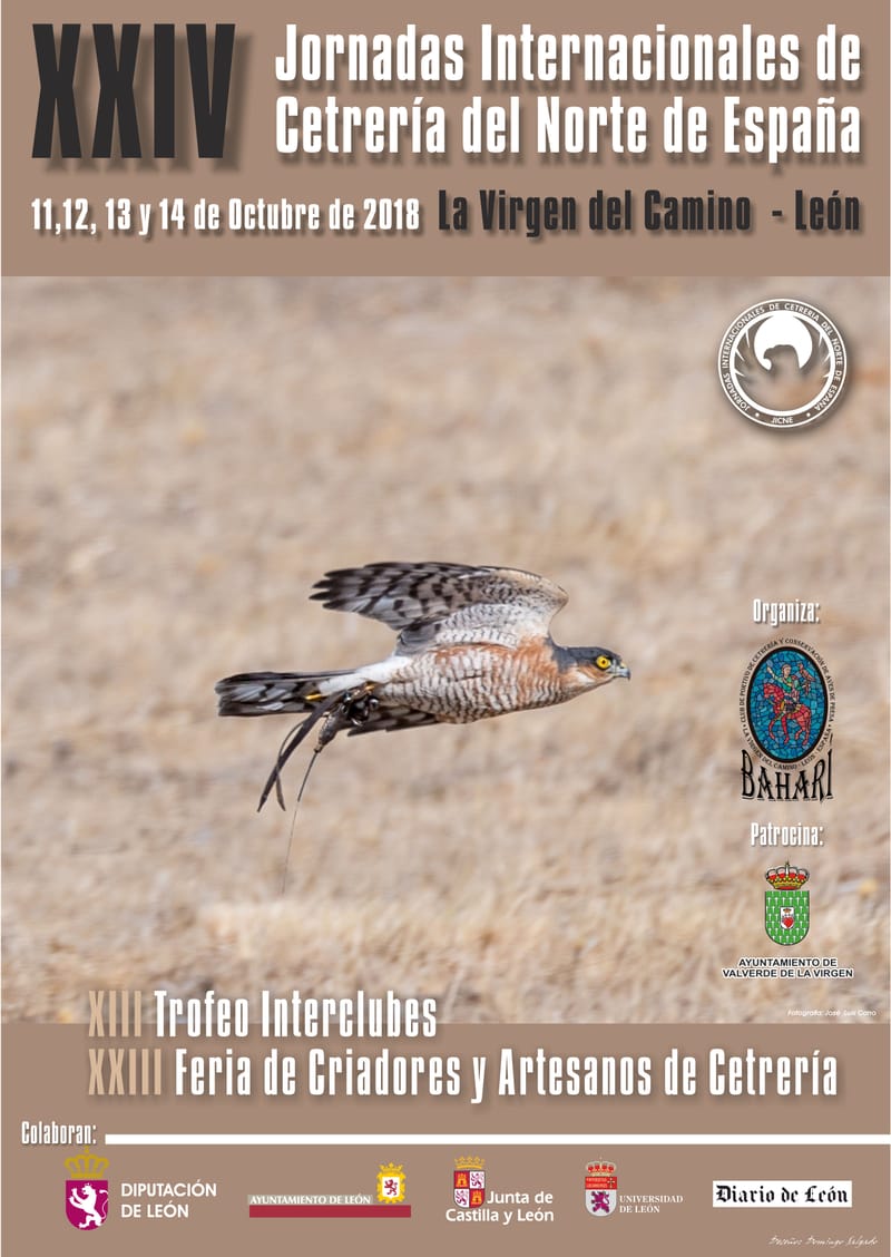 XXIV Jornadas Internacionales de Cetrería del Norte de España 2018