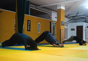 Judo Master