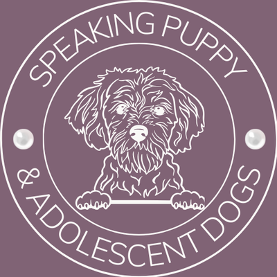 Speaking Puppy & Adolescent Dog Training Oswestry