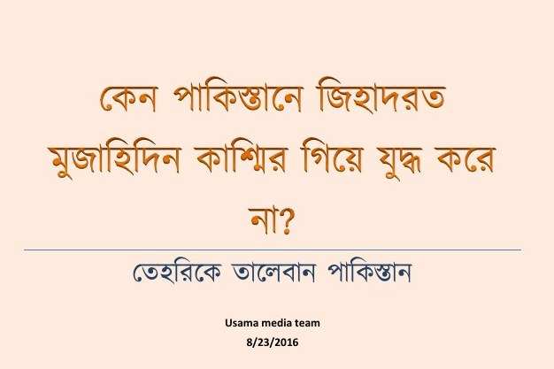 কাশ্মিরের মুসলমানদের স্বাধীনতা যুদ্ধ ব্যর্থ হওয়ার কারণ!