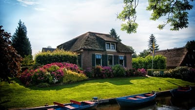toplandscapingservices image