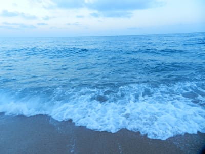 Journée LEM image