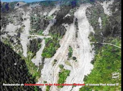 Estabilización permanente de taludes con herbáceas de raíces profundas