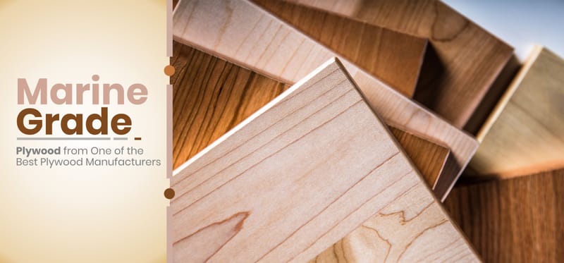 MARINE GRADE PLYWOOD FROM ONE OF THE BEST PLYWOOD MANUFACTURERS